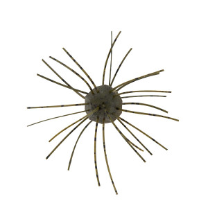 Z-Man - Fuzzy Nuggetz - .5in 4pk Green Pumpkin -