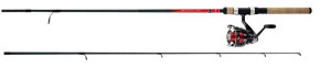 Daiwa - D-shock Ds Ii Combo - Spin 6bb 7ft Mh 2pc -