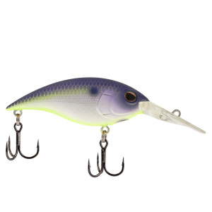 Berkley Money Badger sz6.75 - Purple Glimmer