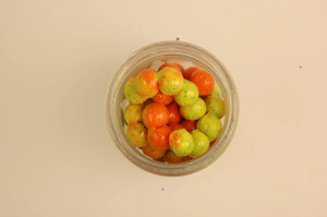 Berkley Powerbait Power Eggs Floating Magnum - Rainbow