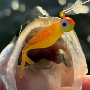 Crappie Slammers 15ct Mini Split Shad - Orange Glow Chartreuse