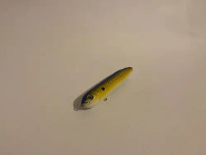 Demon Dragon Muddy River Catfishing