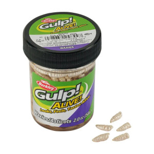 Gulp Alive Waxies 2oz Jar - White