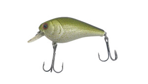 Head Hunter Square Bill 1.5 - Oliver Twist