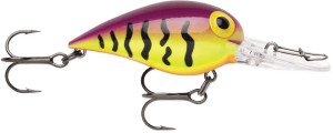 Storm Wiggle Wart - Purple Tiger