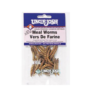 Uncle Josh Meal Worm 36pk