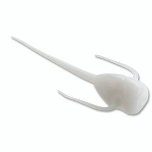 13 Fishing - Paralyzer White No.1