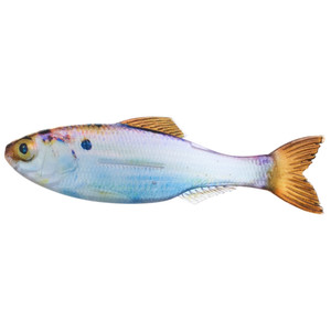 6th Sense Plump Panorama - 5'' Live Gizzard Shad 3pk