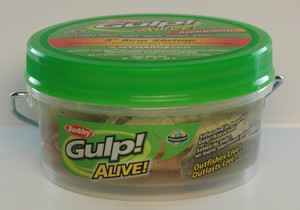Berkley GulpAlive SW Shrimp - 3'' Assorted 1pk