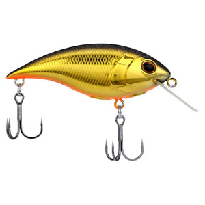 Berkley Money Badger - Shallow - 1/2oz 2.6'' Black Gold