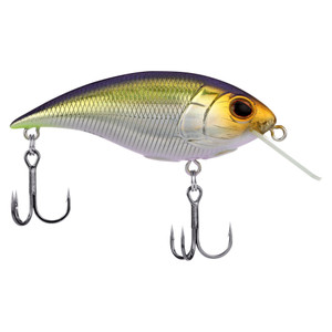 Berkley Money Badger - Shallow - 1/2oz 2.6'' Nebu