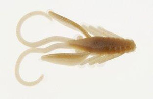 Berkley PB Power Nymph - 1'' Toad 12pk