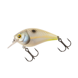 Booyah XCS - 2.5'' Fools Gold