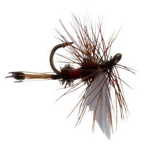 Jackson Cardinal - Dry Fly #12 Royal Coachman 2pk - C047-12