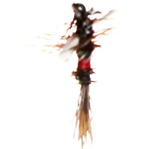 Jackson Cardinal - Dry Fly #12 Royal Wulff 2pk