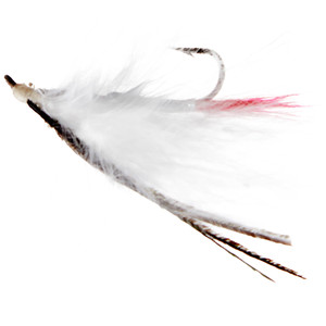 Jackson Cardinal - Marabou #8 White 2pk