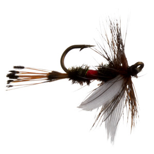 Jackson Cardinal - Royal Coachman #10 2pk