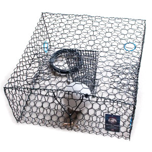 Joyfish BlueCrab Trap LowBoy - 24x24x11 Black /Float & Rope