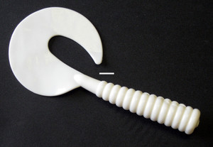 Kalins Octogambo Grub - 8'' White 10pk