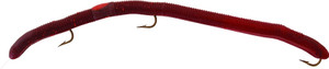 Kelly's Pier Boy Special - 5.5'' Red Swamp Berry