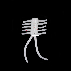 Lake Effect - Crazy Bug - .75" White 10pk