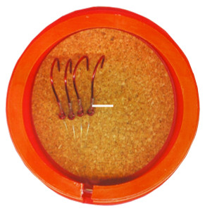 Macks Pip's Box - Random Color 1pk