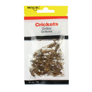 Magic Preserved Crickets - .21oz Natural
