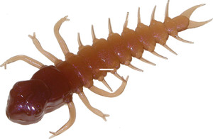 Mr Twister - 2.75'' Natural