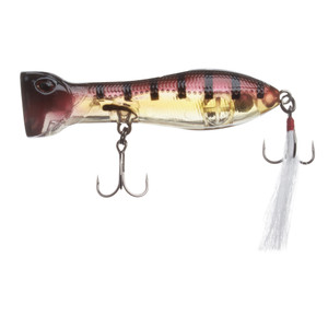 Nomad Chug Norris - 3'' Tg