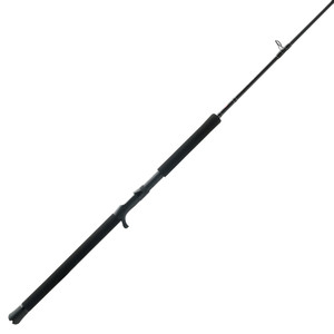 PENN Rod Squad IV Jig Cnvtl - C 6' 6'' 1pc M ModF