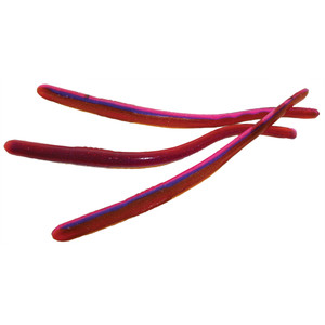 Roboworm Straight Tail Worm - 4.5'' Martens Madness 10pk