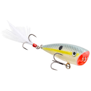Strike King Bitsy Splash - Sexy Shad