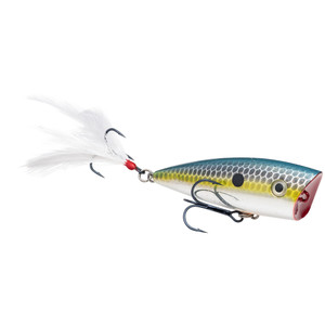 Strike King HC KVD Splash Jr - Chrome Sexy Shad