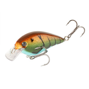 Strike King KVD Square 1.0 - Table Rock Craw