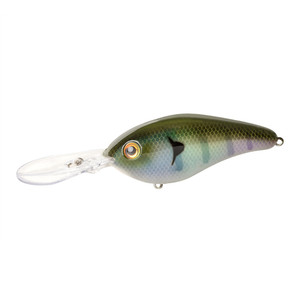 Strike King Pro-Model 6 XD E - The Real Gill