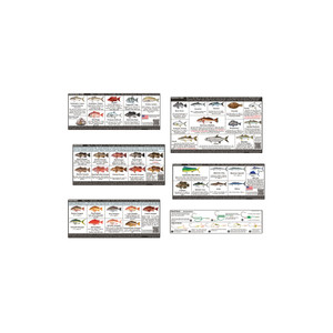 Salty Bones Sticker Set, 8.5x11 FL SW Fish ID&Laws