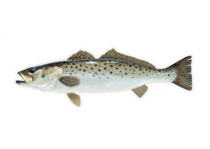 Salty Profile Sticker, 4.5x15.75 Speckled Trout