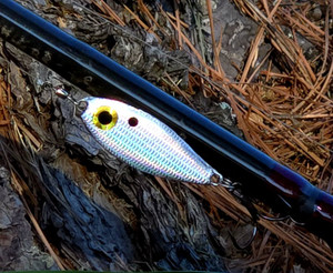 Jewel 1/2oz Shad Spoon 2pk - Prism