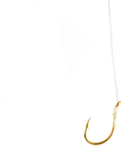 Snelled Gold Salmon Egg sz8 6pk