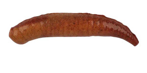 Berkley - Gulp Alive Pinched Crawler - 1in Night Crawler 1.9oz Jar -