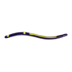 Kelly's Annealed - Striper Worm - 5.5in 12cd Purp/yel -