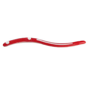 Kelly's Annealed - Striper Worm - 5.5in 12cd Red/wht -