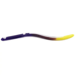 Kelly's Annealed - Firetail Worm - 5.5in 12cd Purp/yel -