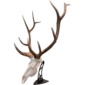 Skull Hooker Big Table Hooker Black - SKH-BTH-ASSY-BLK