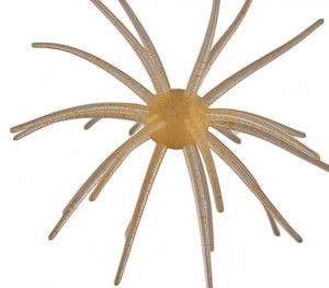 Sea Star - Star Burst - 3/4in Core Watermelon 1bx -