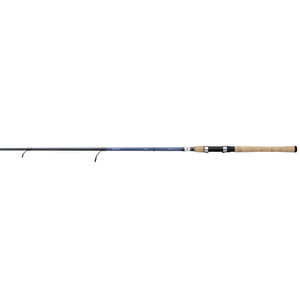 Daiwa Rod Aird Coastal Insh, S 6' 6'' 1pc MH XF