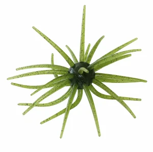 Head Hunter - Spider Monkey Urchin - 19mm Watermelon Seed