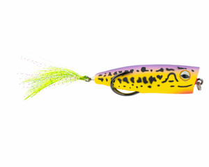 Snag Proof Zoo Pop XL - Sunrise Frog