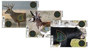 Champion - Champion Visicolor Real Life Target - Big Game - 45829