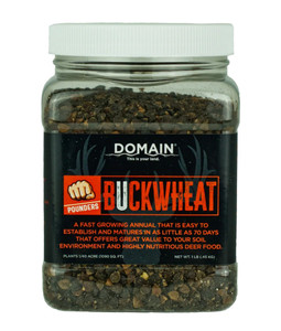 Domain Dbws1lb Pounder Buckwheat